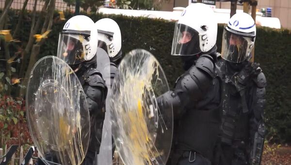 Фермеры закидали полицию яйцами и сеном на акции протеста в Брюсселе Фермеры закидали полицию яйцами и сеном на акции протеста в Брюсселе