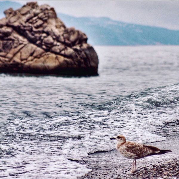 Фотография - участник флэшмоба #Здесьхорошо Фотография - участник флэшмоба #Здесьхорошо