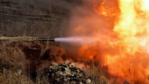 Военные учения на полигоне Клерк в Приморском крае. Архивное фото Военные учения на полигоне Клерк в Приморском крае. Архивное фото