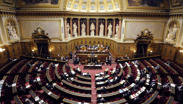 Парламент Франции. Архивное фото Парламент Франции. Архивное фото