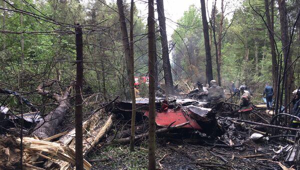 На месте крушения самолета Су-27 в Подмосковье На месте крушения самолета Су-27 в Подмосковье