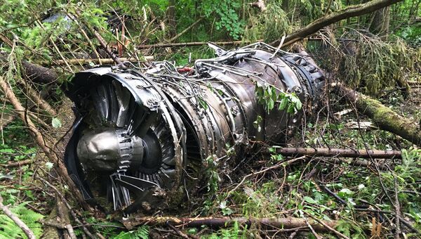 На месте крушения самолета Су-27 в Подмосковье На месте крушения самолета Су-27 в Подмосковье