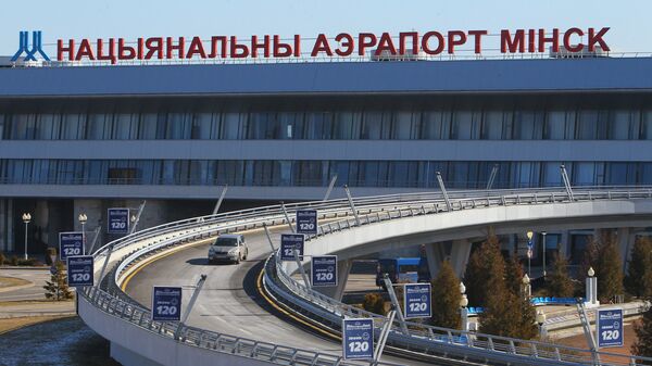 Эксперт прокомментировал задержание Протасевича в Минске