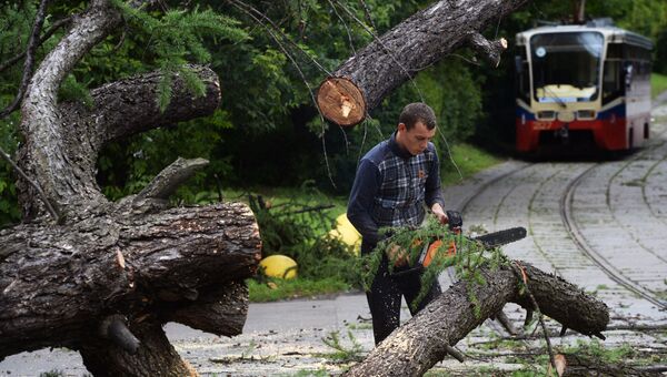 Последствия урагана в Москве Последствия урагана в Москве