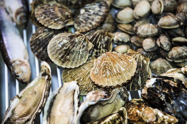 Морепродукты. Архивное фото Морепродукты. Архивное фото