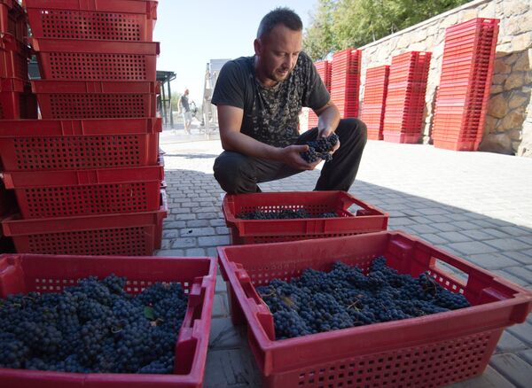 Винодельческое хозяйство UPPA Winery в Крыму Винодельческое хозяйство UPPA Winery в Крыму