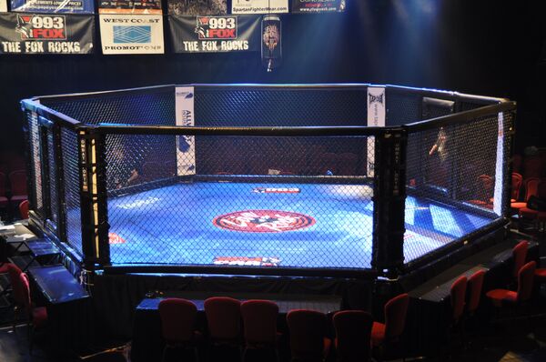 Клетка для проведения боев MMA Клетка для проведения боев MMA