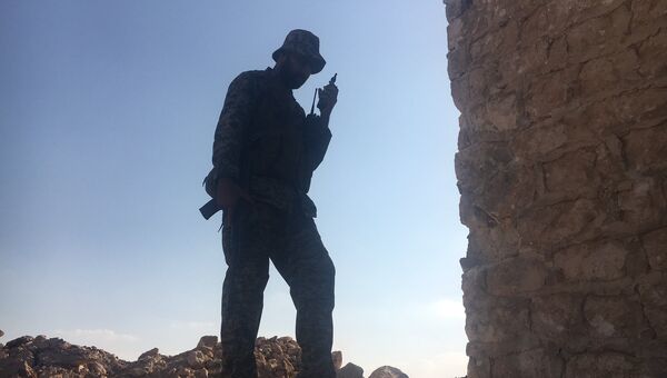 Боец сирийской армии на юге Алеппо. Архивное фото Боец сирийской армии на юге Алеппо. Архивное фото