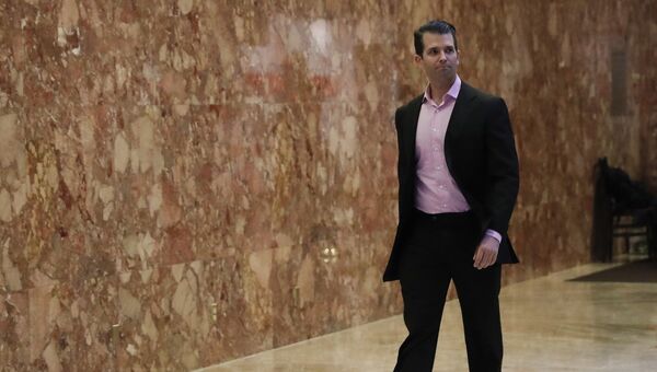 Дональд Трамп-младший, сын избранного президента США Дональд Трамп-младший, сын избранного президента США