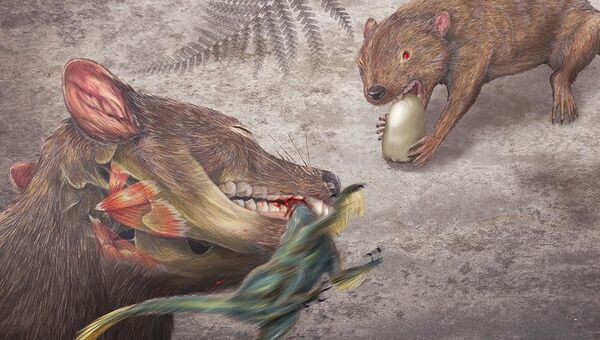 Didelphodon vorax, сумчатый барсук мелового периода Didelphodon vorax, сумчатый барсук мелового периода