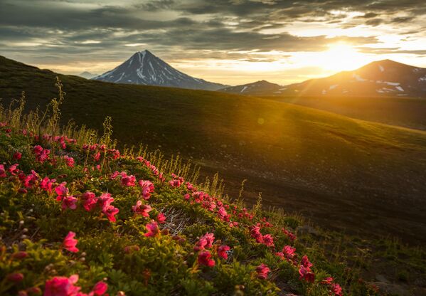 Камчатка Камчатка