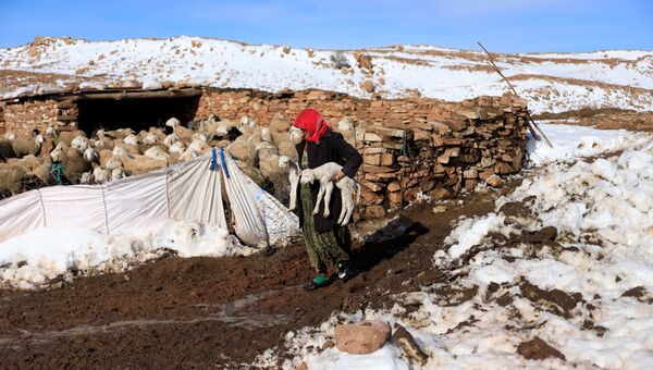 Сахарский Атлас под снегом в Алжире Сахарский Атлас под снегом в Алжире