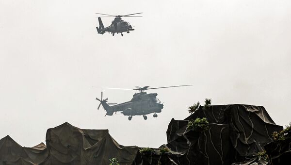 Вооруженные силы ОАЭ во время военного шоу на церемонии открытия Международной выставки вооружения IDEX 2017 в Абу-Даби Вооруженные силы ОАЭ во время военного шоу на церемонии открытия Международной выставки вооружения IDEX 2017 в Абу-Даби