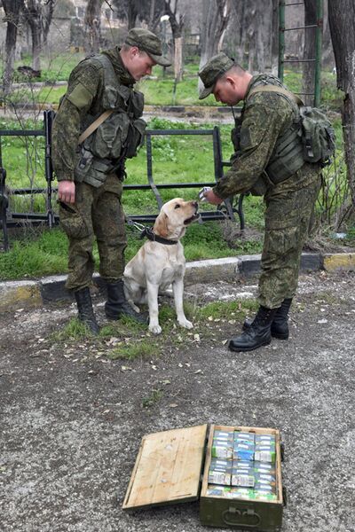 Российские военные инженеры Международного противоминного центра Вооруженных Сил РФ в Алеппо Российские военные инженеры Международного противоминного центра Вооруженных Сил РФ в Алеппо