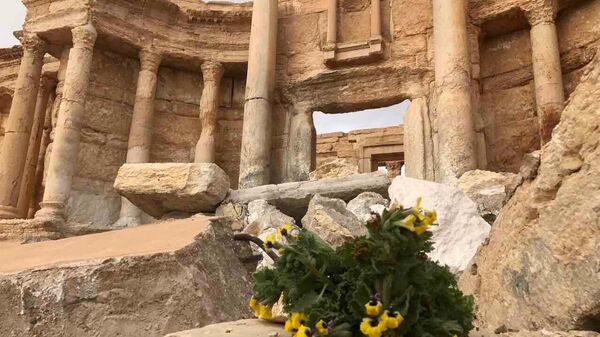 В Сирии выяснили, сколько памятников археологии разграбили в ходе войны