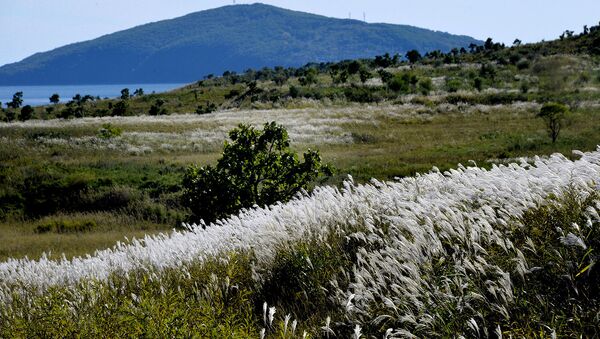 Дальний Восток. Архивное фото Дальний Восток. Архивное фото