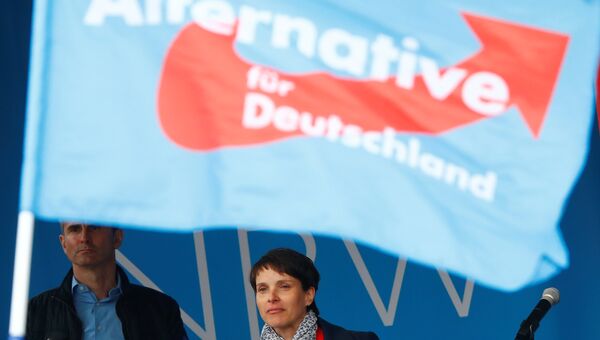 Лидер партии Альтернатива для Германии (Alternative für Deutschland, AfD) Фрауке Петри Лидер партии Альтернатива для Германии (Alternative für Deutschland, AfD) Фрауке Петри