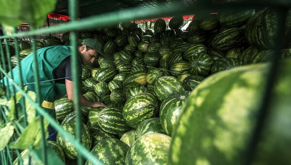 Продажа бахчевых Продажа бахчевых