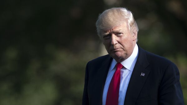 Президент США Дональд Трамп. Архивное фото Президент США Дональд Трамп. Архивное фото