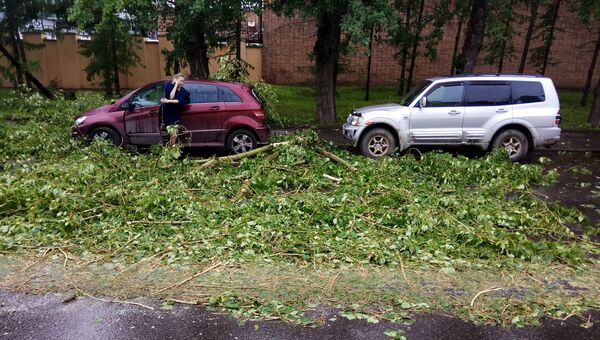 Автомобили, пострадавшие в результате урагана в Москве Автомобили, пострадавшие в результате урагана в Москве