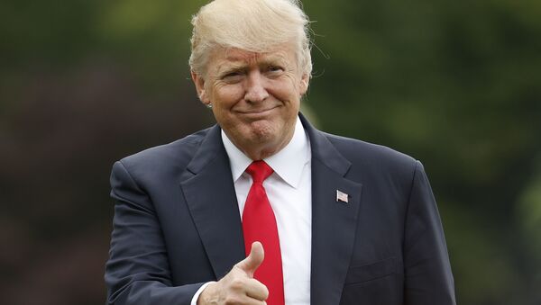 Президент Дональд Трамп. Архивное фото Президент Дональд Трамп. Архивное фото