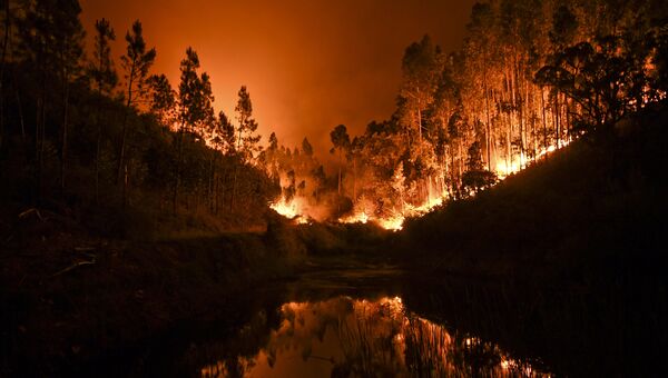 Лесные пожары в Португалии Лесные пожары в Португалии