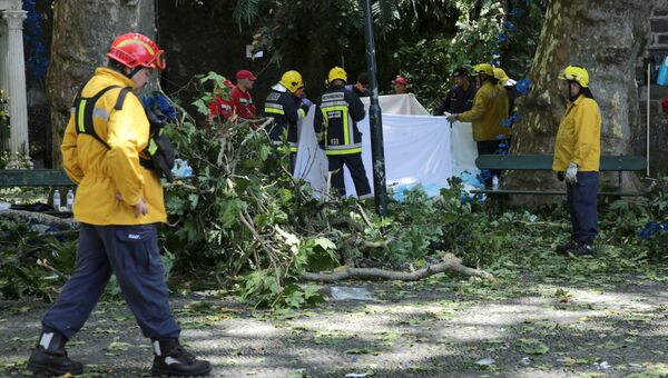 Спасатели на месте падения дерева на острове Мадейра, Португалия. 15 августа 2017 Спасатели на месте падения дерева на острове Мадейра, Португалия. 15 августа 2017