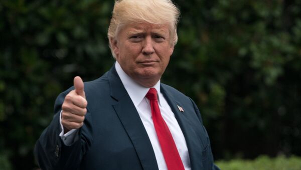 Президент США Дональд Трамп. Архивное фото Президент США Дональд Трамп. Архивное фото