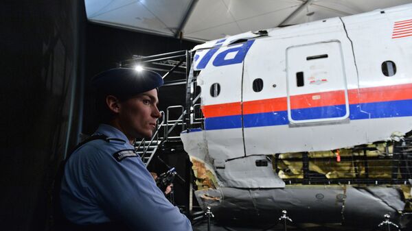 Обломки самолета Boeing 777 Malaysia Airlines (рейс MH17) в Нидерландах Обломки самолета Boeing 777 Malaysia Airlines (рейс MH17) в Нидерландах