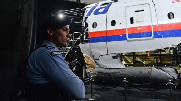 Обломки самолета Boeing 777 Malaysia Airlines (рейс MH17) в Нидерландах Обломки самолета Boeing 777 Malaysia Airlines (рейс MH17) в Нидерландах