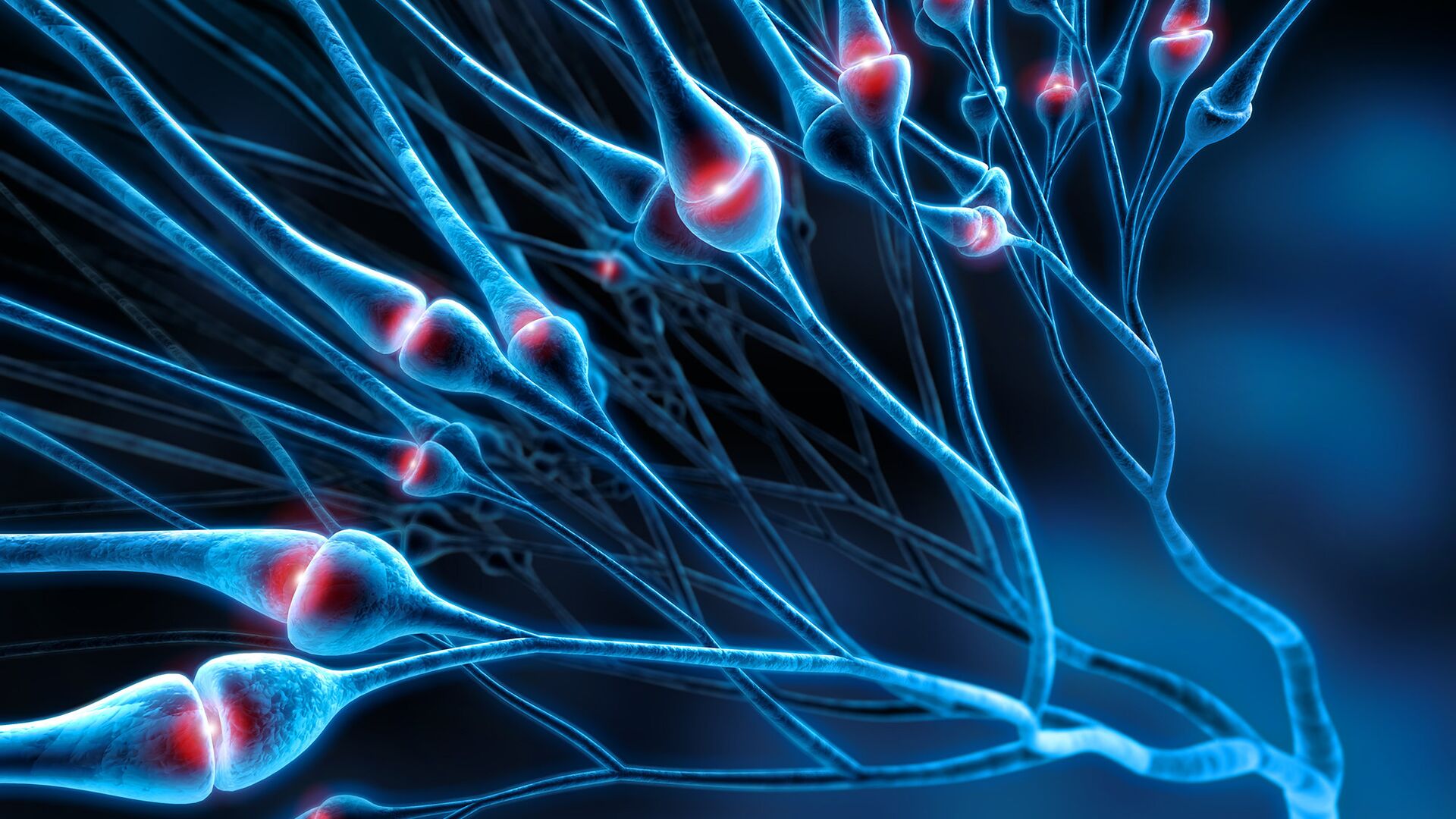 Нейрон улитки. Нейроны, синапс, нейромедиаторы. Нервны клетки синапс 3д. Синапс микрофотография. Синапс под микроскопом.