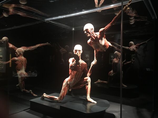 Открытие выставки Body Worlds в Женеве Открытие выставки Body Worlds в Женеве