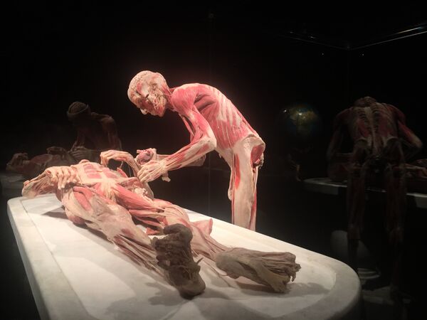 Открытие выставки Body Worlds в Женеве Открытие выставки Body Worlds в Женеве