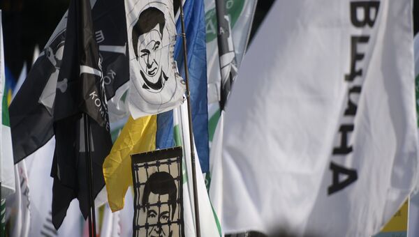На акции в поддержку политической реформы в Киеве. 17 октября 2017 На акции в поддержку политической реформы в Киеве. 17 октября 2017