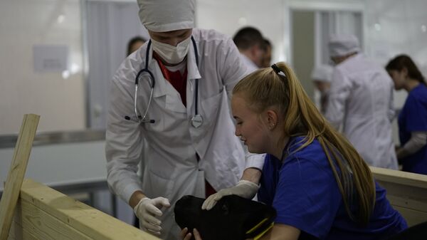 V Национальный чемпионат WorldSkills в Краснодаре. Соревнования в компетенции Ветеринария V Национальный чемпионат WorldSkills в Краснодаре. Соревнования в компетенции Ветеринария