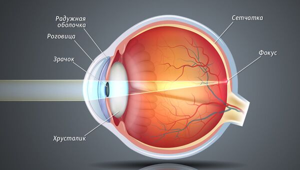 Схема построения изображения глазом Схема построения изображения глазом
