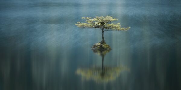 Работа участника фотоконкурса The EPSON International Pano Awards Работа участника фотоконкурса The EPSON International Pano Awards
