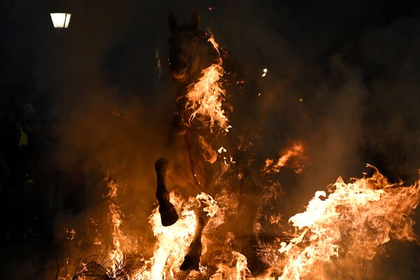 Всадник прыгает через костер во время огненного фестиваля Las Luminarias в Испании Всадник прыгает через костер во время огненного фестиваля Las Luminarias в Испании