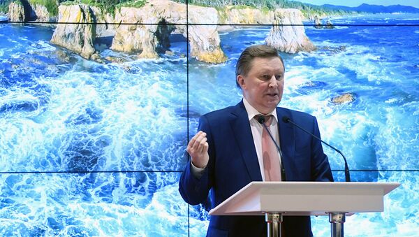 Иванов: Год экологии дал импульс волонтерскому движению Иванов: Год экологии дал импульс волонтерскому движению