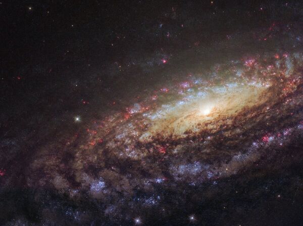 Ð¡Ð¿Ð¸ÑÐ°Ð"ÑÐ½Ð°Ñ Ð³Ð°Ð"Ð°ÐºÑÐ¸ÐºÐ° NGC 7331 Ð² ÑÐ¾Ð·Ð²ÐµÐ·Ð´Ð¸Ð¸ ÐÐµÐ³Ð°Ñ