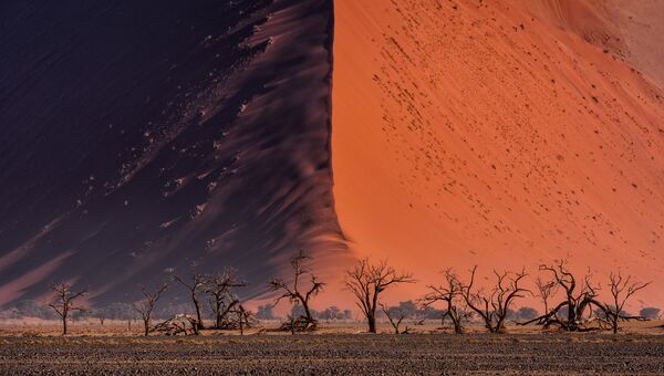 Работа фотографа Paranyu Pithayarungsarit - финалиста конкурса 2018 Sony World Photography Awards Работа фотографа Paranyu Pithayarungsarit - финалиста конкурса 2018 Sony World Photography Awards