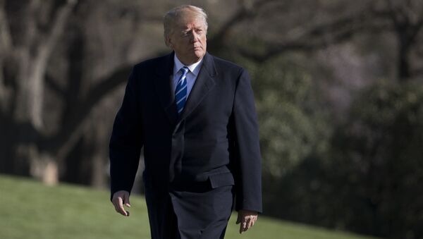 Президент США Дональд Трамп. Архивное фото Президент США Дональд Трамп. Архивное фото