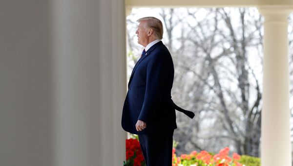 Президент США Дональд Трамп. Архивное фото Президент США Дональд Трамп. Архивное фото