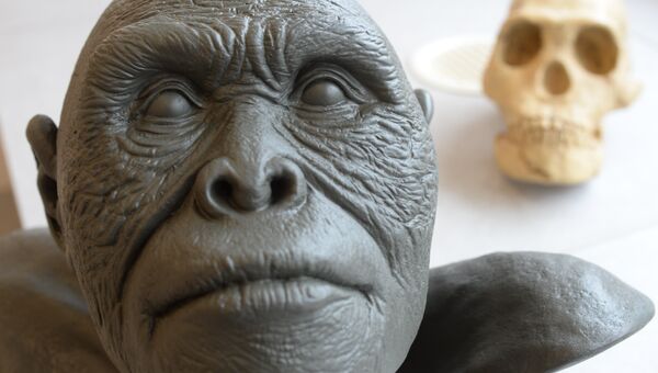 Реконструкция внешности Homo naledi Реконструкция внешности Homo naledi