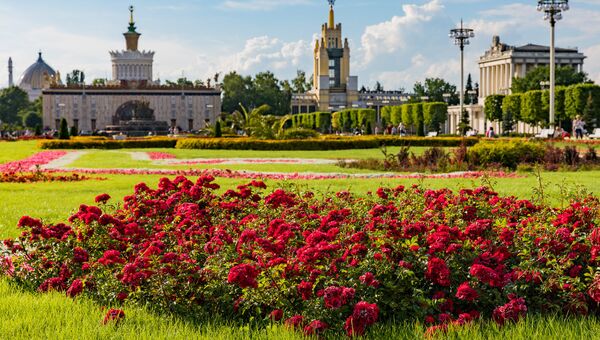 Парк вднх москва фото