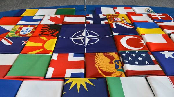 В Киеве надеются, что ответ НАТО по членству Украины не окончательный