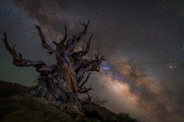 Работа фотографа Jez Hughes Guarding the galaxy, вошедшая в шорт-лист Insight Astronomy Photographer of the Year 2018 Работа фотографа Jez Hughes Guarding the galaxy, вошедшая в шорт-лист Insight Astronomy Photographer of the Year 2018