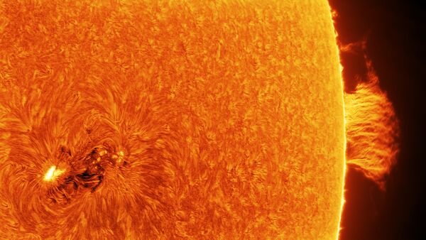 Работа фотографа Łukasz Sujka AR 2665 and Quiescent Prominence, вошедшая в шорт-лист Insight Astronomy Photographer of the Year 2018 Работа фотографа Łukasz Sujka AR 2665 and Quiescent Prominence, вошедшая в шорт-лист Insight Astronomy Photographer of the Year 2018