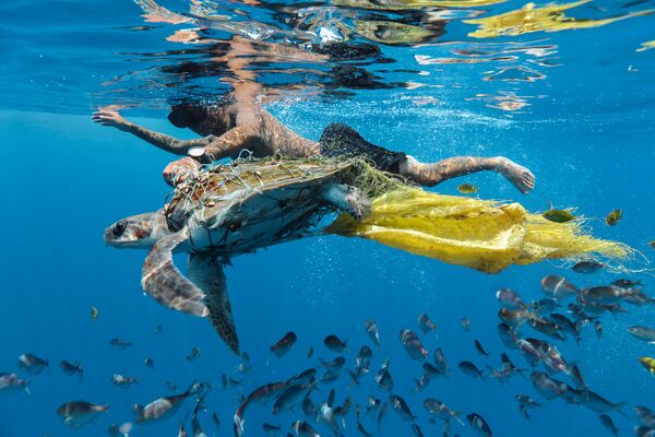 Работа участника конкурса Environmental Photographer of the Year 2018. Фотограф Jing Li Работа участника конкурса Environmental Photographer of the Year 2018. Фотограф Jing Li