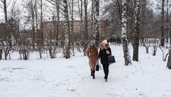 Роща 25-летия Победы в Звенигороде, которую удалось спасти от вырубки Роща 25-летия Победы в Звенигороде, которую удалось спасти от вырубки